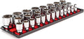 TEKTON 1/2 Inch Drive 6-Point Socket Set, 29-Piece | SHD92124 | (10 - 38 mm), Shallow, Socket Rail