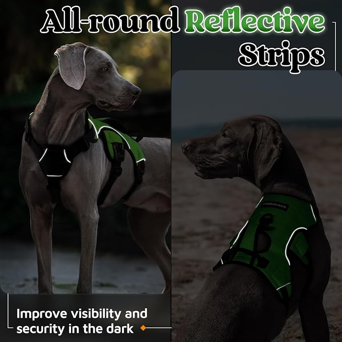 rabbitgoo Escape Proof Dog Harness for Medium, No Pull with Lift Handle | No Escape, Full Soft Padded, Reflective Adjustable Vest, Leash Clip for Walking Hiking Training, Green, Medium