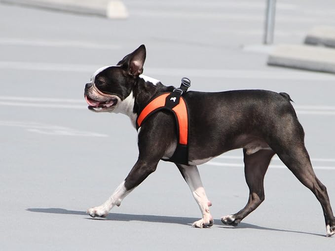 Gooby Escape Free Easy Fit Dog Harness, Step-in, Orange, X-Small | Patented escape-free frame; Contracts if they back out; Step-in easy on/off; Machine washable; Light POM leash ring