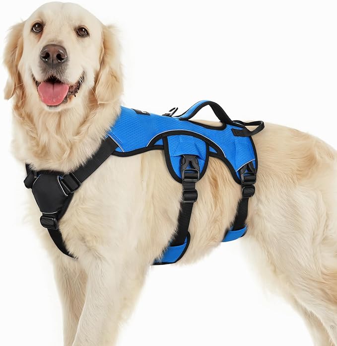 rabbitgoo Escape Proof Dog Harness for Large, No Pull with Lift Handle | No Escape, Full Soft Padded, Reflective Adjustable Vest, Leash Clip for Walking Hiking Training, Blue, Large