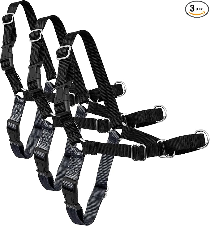 PetSafe Easy Walk Harness for Dogs - Pull-Free Walks - Patented Martingale LoopDesign-Front Chest Leash Attachment - Comfort Straps-Breathable Harness Design-Small,Charcoal/Black (Pack of 3)
