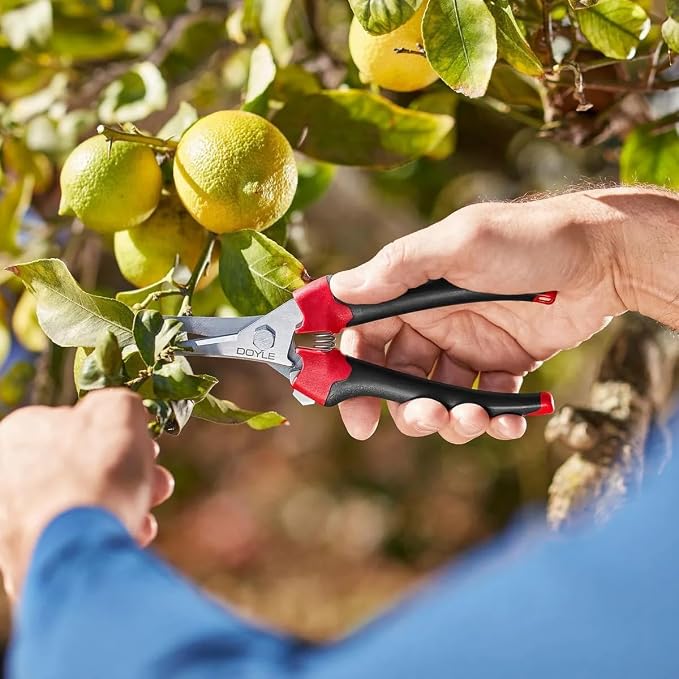 Micro Tip Pruning Shears 7.5 Inch, Precision Garden Snips for Trimming Plants, Flowers, Herbs, Ergonomic Grip