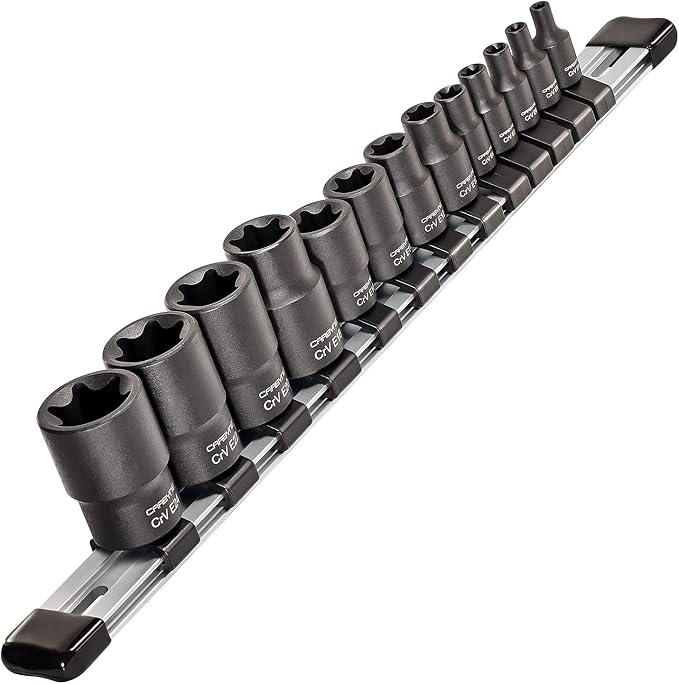 CARBYNE 13-Piece External Torx (E-Torx) Socket Set, E4 to E24, CrV Steel, Manganese Phosphate Finish, 1/4 3/8 1/2 in. Drive, Laser Etched, Socket Rail Included