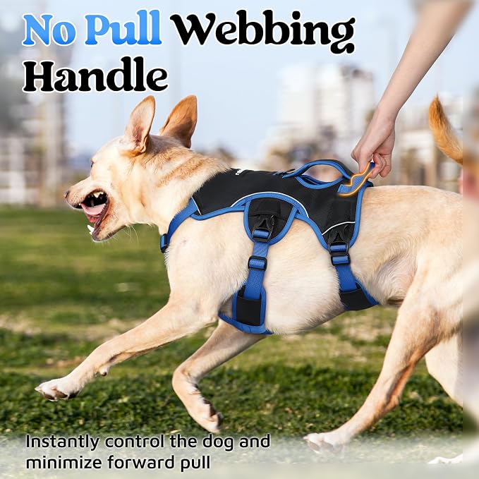 rabbitgoo Escape Proof Dog Harness for Medium, No Pull with Lift Handle | No Escape, Full Soft Padded, Reflective Adjustable Vest, Leash Clip for Walking Hiking Training, Blue & Black, Medium