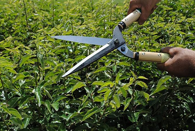 Okatsune Precision Hedge Shears 6" Blade, 20" total length