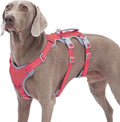 Escape Proof Dog Harness, No Pull Reflective Harness with Lift Handle, Adjustable Pet Vest with Front and Back Leash Clips for Small Medium Large Dogs Walking Hiking Training (Red,XL)