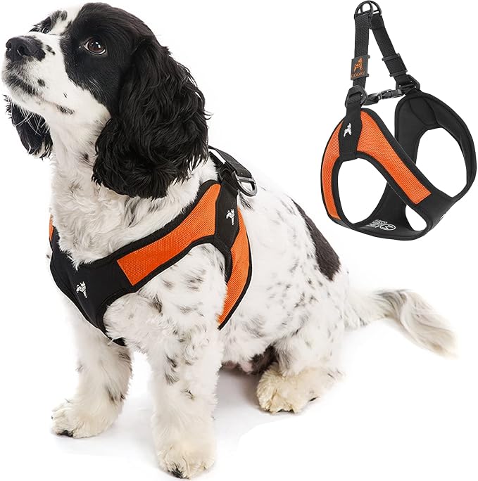 Gooby Escape Free Easy Fit Dog Harness, Step-in, Orange, Medium | Patented escape-free frame; Contracts if they back out; Step-in easy on/off; Machine washable; Light POM leash ring