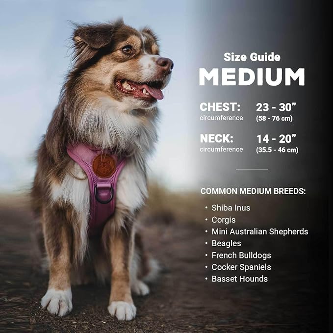 Wilderdog Lightweight Dog Harness with Reflective Straps - Medium - Lilac