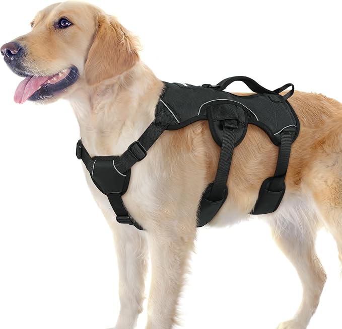 rabbitgoo Escape Proof Dog Harness for Large, No Pull with Lift Handle | No Escape, Full Soft Padded, Reflective Adjustable Vest, Leash Clip for Walking Hiking Training, Black, Large