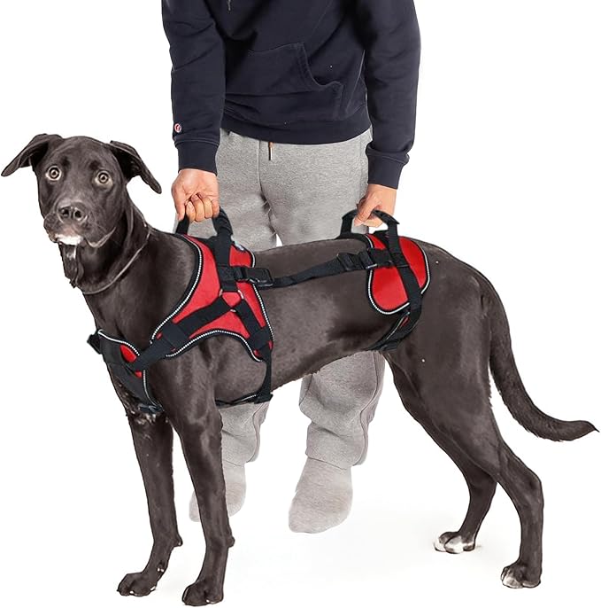 Doggie Stylz Multi-Functional Full-Body Lifting Dog Harness Vest | Designed for Front-Only, Rear-Only, Please Measure Your Dog Before Ordering