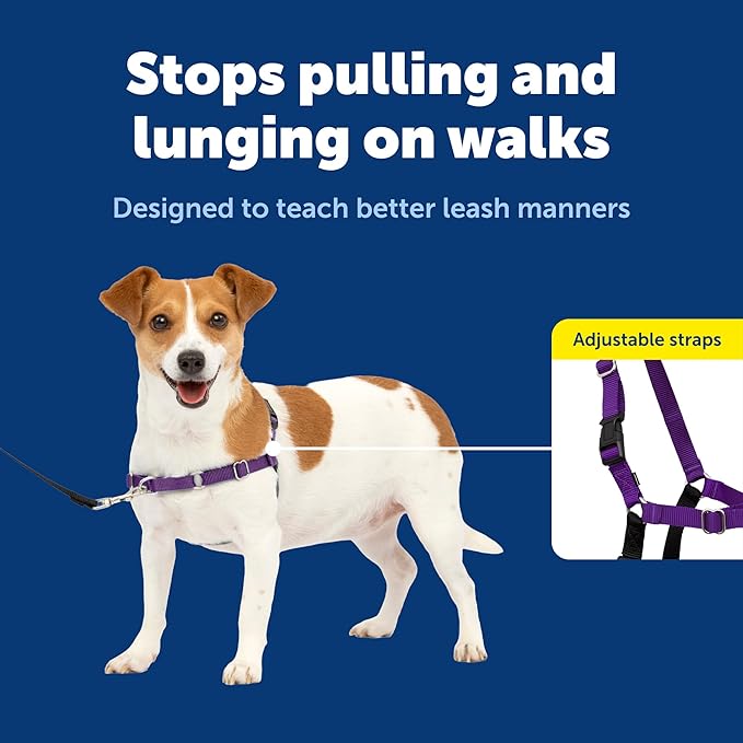 PetSafe Easy Walk Harness, No Pull Dog Harness, Deep Purple, Small | Patented Martingale Loop Gives Gradual Shoulder Pressure to Stop Pulling, Front-Chest Leash Clip Prevents Gagging