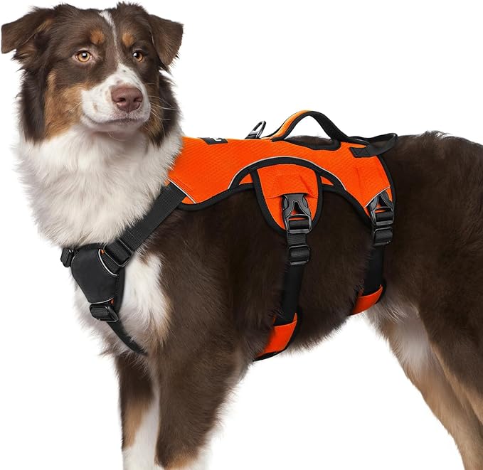 rabbitgoo Escape Proof Dog Harness for Medium, No Pull with Lift Handle | No Escape, Full Soft Padded, Reflective Adjustable Vest, Leash Clip for Walking Hiking Training, Orange, Medium