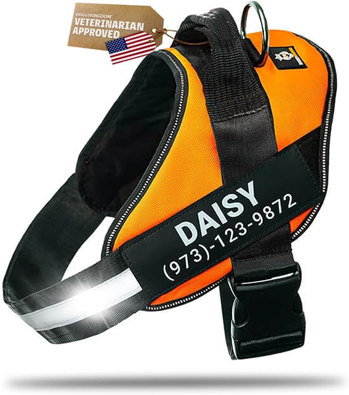 Personalized Dog Harness with Custom Name Patches, Adjustable Reflective No Choke Dog Vest with Handle for XXL Dog, Orange, 2XL