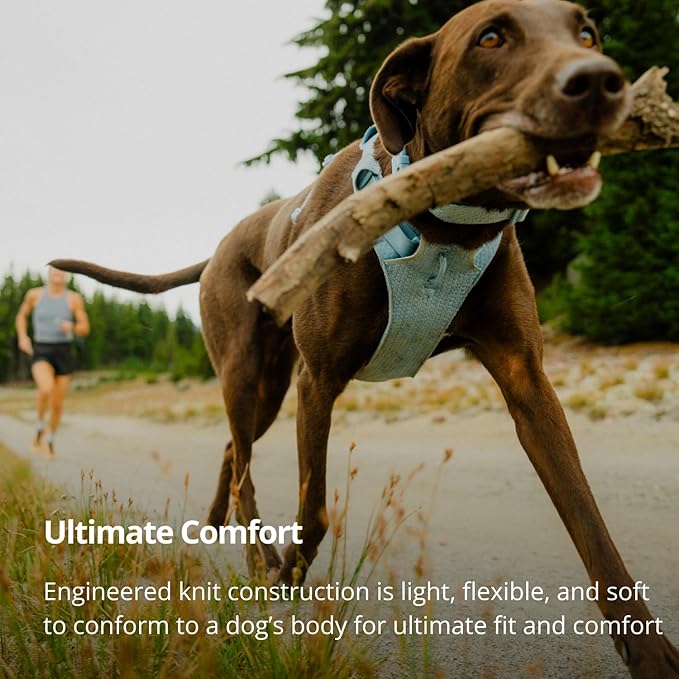Ruffwear, Front Range Flex Dog Harness, Engineered Knit Construction for Ultimate Fit and Mobility, Lightweight Flexible Everyday Harness with Dual Leash Clips, Basalt Gray, Small