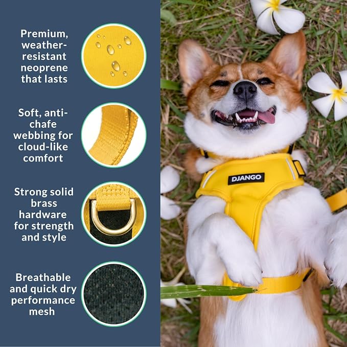 Adventure Dog Harness - Stylish Large Dog Harness for Outdoor Adventures and Everyday Wear - Dandelion Yellow Neoprene Adjustable Harness for Dogs with Reflective Piping and Solid Brass D-Ring