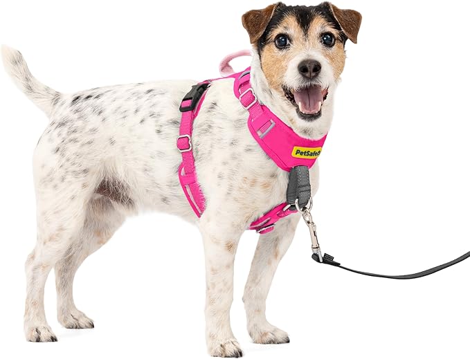 PetSafe Easy Walk Comfort No Pull Dog Harness, Pink, Small | Stops Pulling on First Use with Front Martingale Loop, Full-Body Padding, 5-Point Adjustable Fit