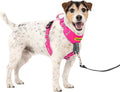 PetSafe Easy Walk Comfort No Pull Dog Harness, Pink, Small | Stops Pulling on First Use with Front Martingale Loop, Full-Body Padding, 5-Point Adjustable Fit