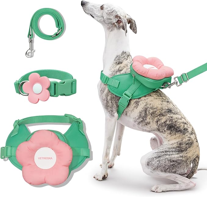 VETRESKA Flora Dog Harness, Leash and Collar Set, No Pull Vest Harness, S | for Walking and Training, Adjustable, Easy Control and Soft Padded Pet Harness and Backpack for Small Medium Large Dogs