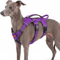 Tuff Pupper Escape Proof No Escape Dog Harness | 5 Point Adjustable Fit Harness for Dogs | Padded Dog Harnesses | Handle Dog Lift Harnesses