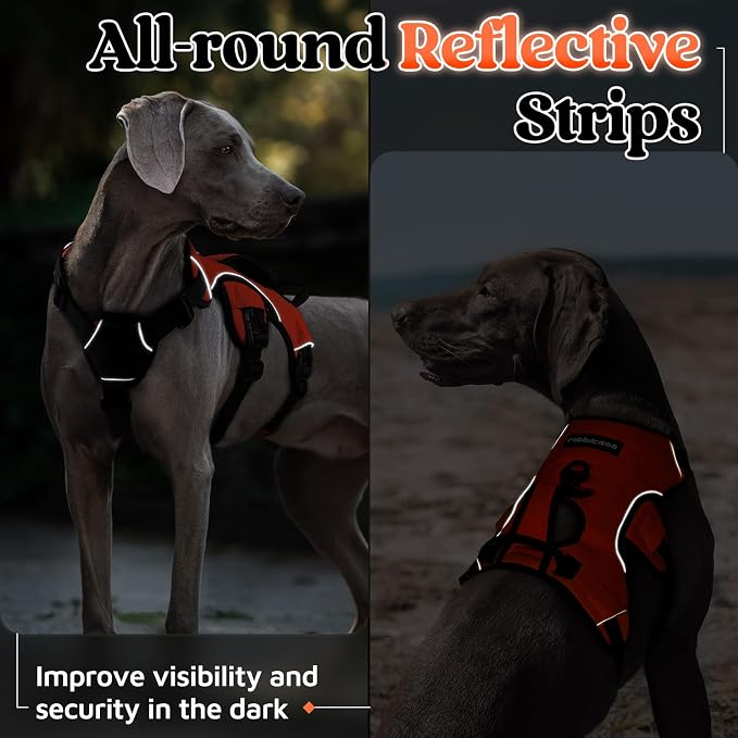 rabbitgoo Escape Proof Dog Harness for Medium, No Pull with Lift Handle | No Escape, Full Soft Padded, Reflective Adjustable Vest, Leash Clip for Walking Hiking Training, Orange, Medium