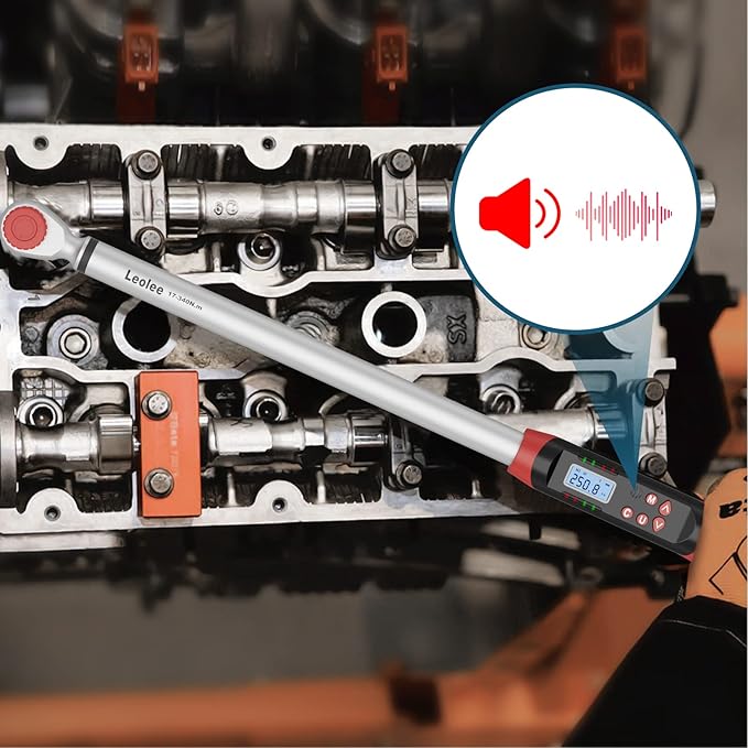 Leolee 1/2-Inch Drive Digital Torque Wrench with Angle, 12.5-250.8 Ft.lb | 17-340Nm, ±2% Accuracy, Heavy-Duty, Preset Value, Data Storage, Buzzer, LED Flash Notification, for Diesel Trucks, RV, Vans