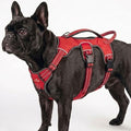 Tuff Pupper Tracker No Escape Dog Harness, Dual Attachment Points, Reflective 3M Stitching, XS - XL, March Red