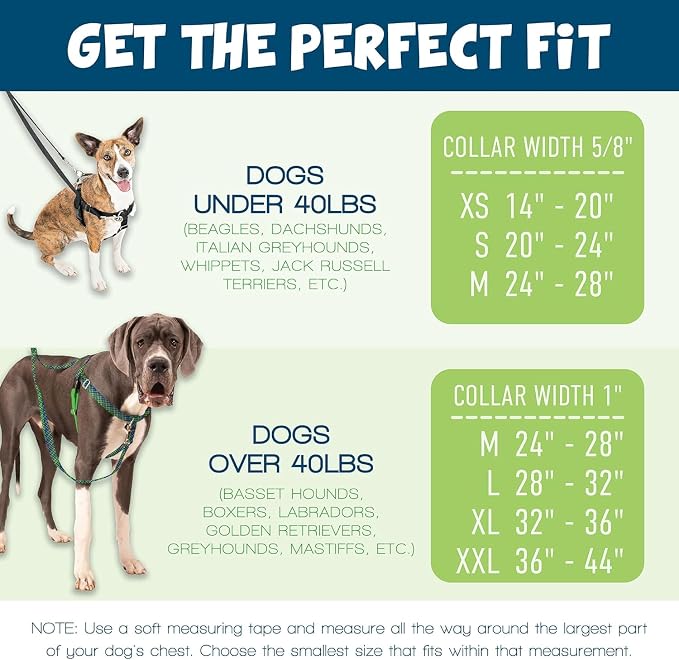2 Hounds Design Freedom No Pull Dog Harness, Adjustable Harness and Leash Set, Easy Walking & Comfortable Control, Fits Small, Medium & Large Dogs, Solid Colors, Made in USA, 1" LG, Teal | Promotes Easy Walking & Comfortable Control, Secure Fit, Adjust...