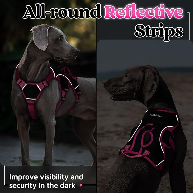 rabbitgoo Escape Proof Dog Harness for Medium, No Pull with Lift Handle | No Escape, Full Soft Padded, Reflective Adjustable Vest, Leash Clip for Walking Hiking Training, Rose & Black, Medium