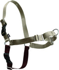 PetSafe Easy Walk Harness, No Pull Dog Harness, Fawn, Large | Patented Martingale Loop Gives Gradual Shoulder Pressure to Stop Pulling, Front-Chest Leash Clip Prevents Gagging