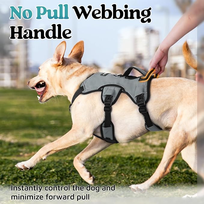 rabbitgoo Escape Proof Dog Harness for X-Large, No Pull with Lift Handle | No Escape, Full Soft Padded, Reflective Adjustable Vest, Leash Clip for Walking Hiking Training, Grey, X-Large