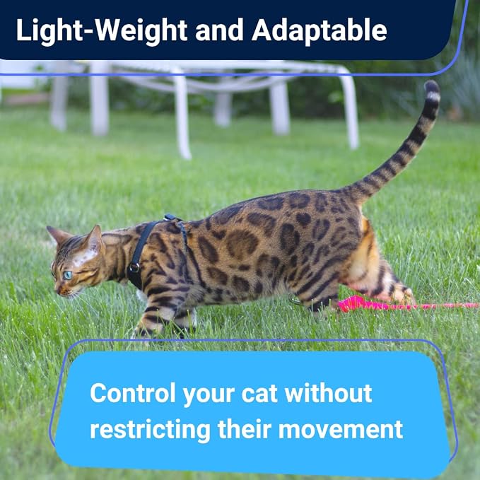 Houdini™ Escape Proof Cat Harness and Leash (V. Leather, XL) | Adjustable walking vest with 6ft lead, premium padded finish, snug secure fit, lightweight for travel and outdoor adventures