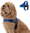 Dog Friendly Co. Dog Harness for Large Dogs (Classic Blue, Large) | One Click Buckle, Chafe Resistant Webbing, Adjustable Neck & Chest, and Heavy Duty D-Ring, Sturdy Comfortable and Easy to Use