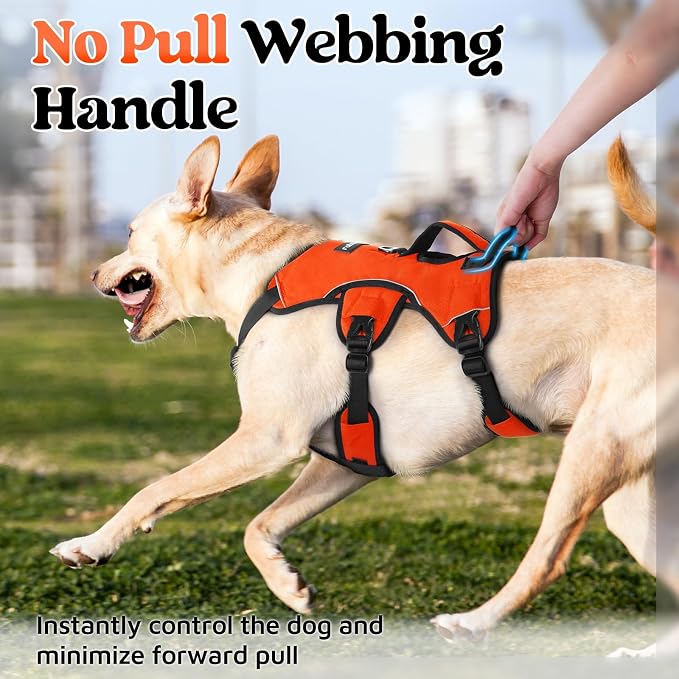 rabbitgoo Escape Proof Dog Harness for Medium, No Pull with Lift Handle | No Escape, Full Soft Padded, Reflective Adjustable Vest, Leash Clip for Walking Hiking Training, Orange, Medium