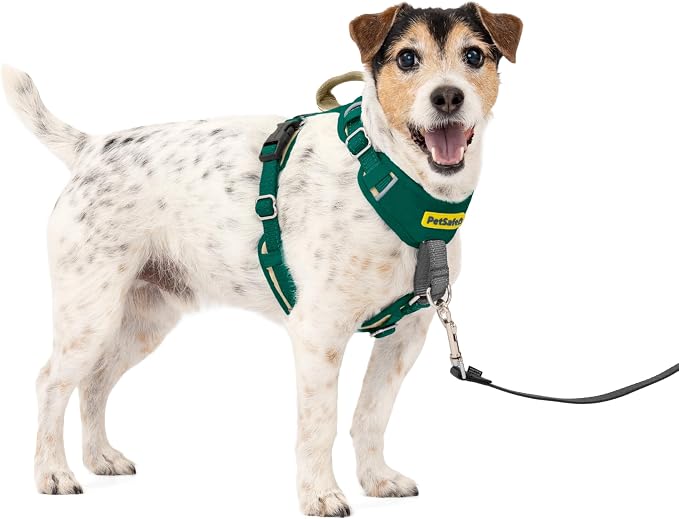 PetSafe Easy Walk Comfort No Pull Dog Harness, Green, Small | Stops Pulling on First Use with Front Martingale Loop, Full-Body Padding, 5-Point Adjustable Fit