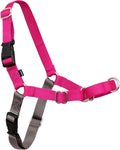 PetSafe Easy Walk Harness, No Pull Dog Harness, Medium, Raspberry | Patented Martingale Loop Gives Gradual Shoulder Pressure to Stop Pulling, Front-Chest Leash Clip Prevents Gagging