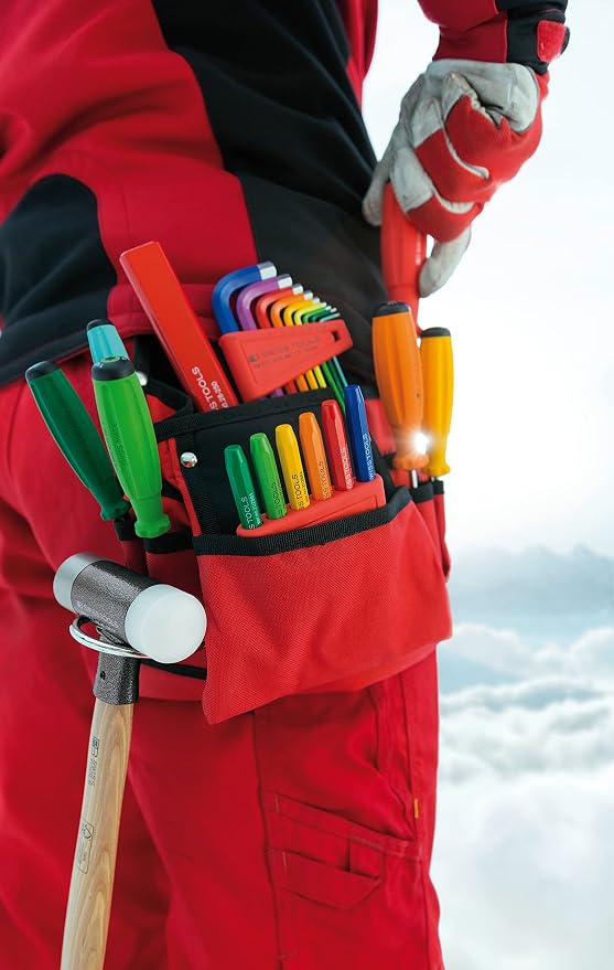 PB SWISS TOOLS 9 Rainbow Key L-Wrenches with Precisely Chamfered Edges and Colour Coded by Size, Model #210.H-10 RB, Set in a Practical Plastic Holder