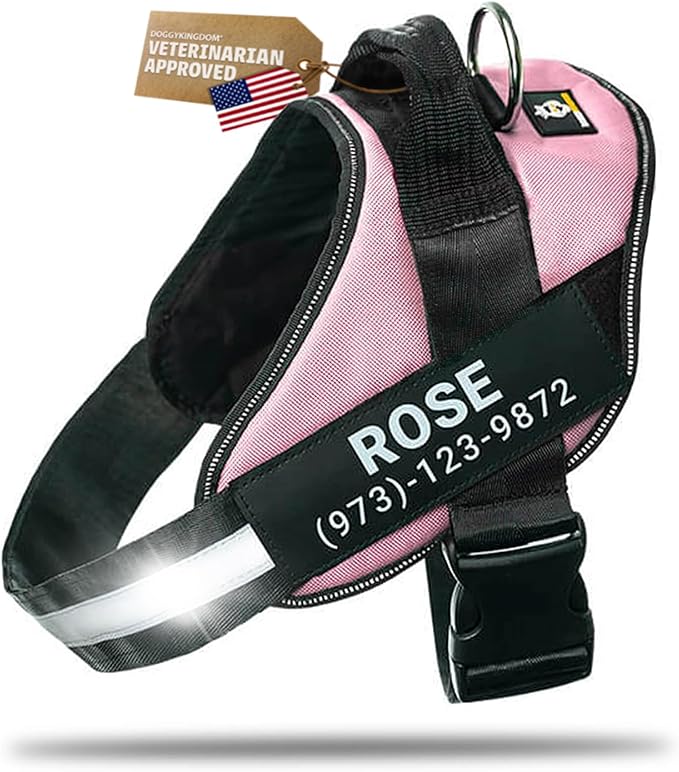 Personalized Dog Harness with Custom Name Patches, Adjustable Reflective No Choke Dog Vest with Handle for Extra Large Dog, Pink, XL