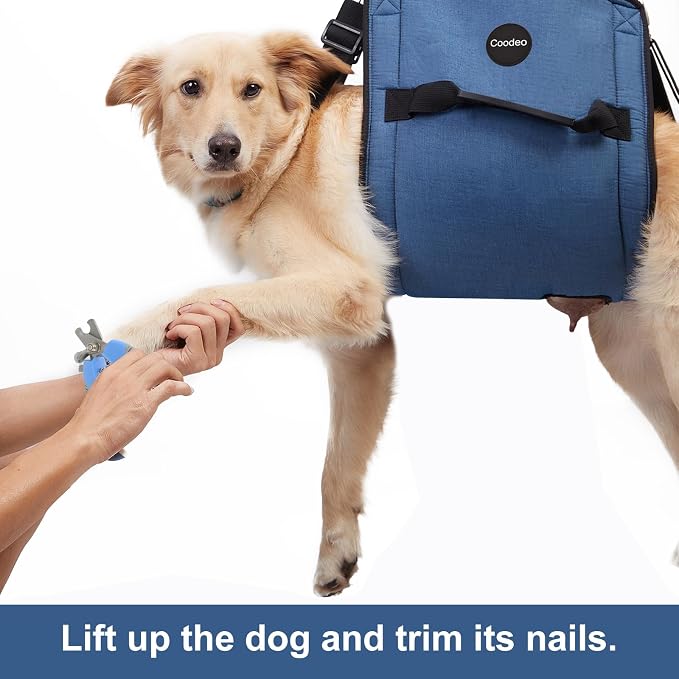 COODEO Dog Carry Sling, Emergency Backpack Pet Legs Support & Rehabilitation Dog Lift Harness for Nail Trimming, Dog Carrier for Senior Dogs Joint Injuries, Arthritis, Up and Down Stairs(XL, Blue)