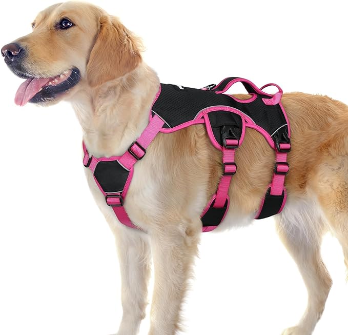 rabbitgoo Escape Proof Dog Harness for Large, No Pull with Lift Handle | No Escape, Full Soft Padded, Reflective Adjustable Vest, Leash Clip for Walking Hiking Training, Rose & Black, Large