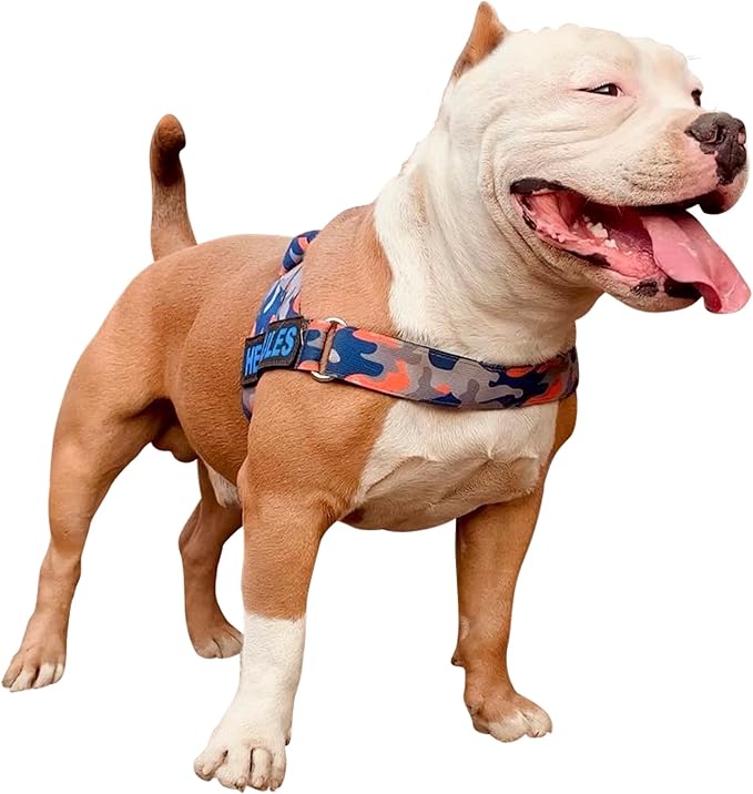 Adjustable Dog Harness– No Pull, No Choke – for English Bulldogs, French Bulldogs, Pugs & Broad-Chested Breeds – Easy, Safe Walks (Orange/Blue Camouflage, Medium)