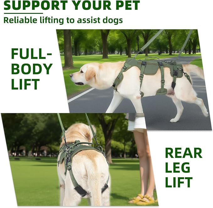 PUPTECK Dog Lift Harness for Medium Large Sized Dog, Rehabilitation Sling for Hind Leg Support, Multifunctional Mobility Assistance Harness for Old, Disabled, Joint Injuries, Paralysis Dogs, Green L