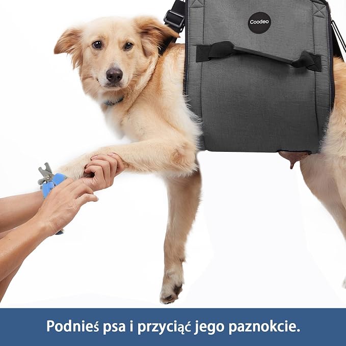 COODEO Dog Carry Sling, Emergency Backpack Pet Legs Support & Rehabilitation Dog Lift Harness for Nail Trimming, Dog Carrier for Senior Dogs Joint Injuries, Arthritis, Up and Down Stairs(XL, Black)