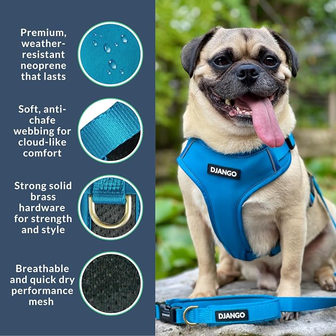 Adventure Dog Harness - Stylish & Durable Small Dog Harness for Outdoor Adventures and Everyday Wear - Pacific Blue Neoprene Adjustable Harness for Dogs with Reflective Piping, Brass D-Ring
