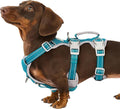 Escape Proof Dog Harness, Escape Artist Harness, Fully Reflective Harness with Padded Handle, Breathable, Durable, Adjustable Vest for Small Dogs Walking, Training, and Running Gear (Teal,S)