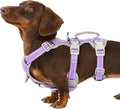 Escape Proof Dog Harness, Secure Dog Harness No Escape,Fully Reflective Harness with Handle,Breathable,Durable,Adjustable Vest for Small Dogs Walking,Training & Running Gear(Lavender Purple,S)
