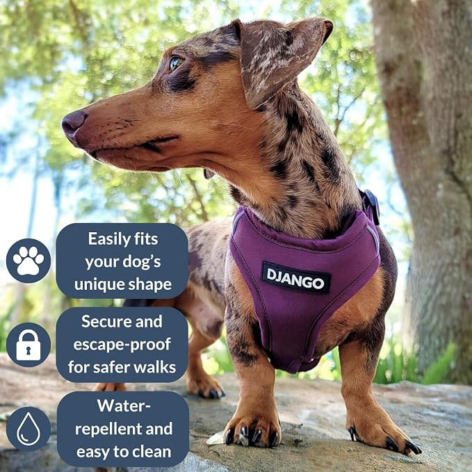 Adventure Dog Harness - Stylish, and Durable Medium Dog Harness for Outdoor Adventures and Everyday Wear - Plum Purple Neoprene Adjustable Harness for Dogs with Reflective Piping, Brass D-Ring