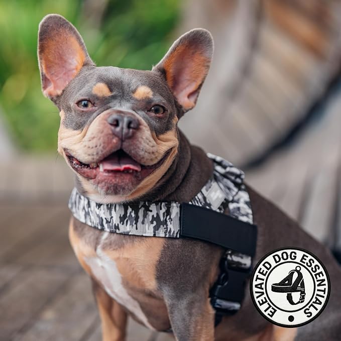Dog Friendly Co. Dog Harness for Small Dogs (Grey Camo, Extra Small) | One Click Buckle, Chafe Resistant Webbing, Adjustable Neck & Chest, and Heavy Duty D-Ring, Sturdy Comfortable and Easy to Use