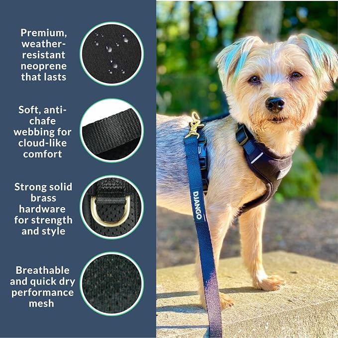 Adventure Dog Harness - Stylish and Comfortable Medium Dog Harness for Outdoor Adventures and Everyday Wear - Black Neoprene Adjustable Harness for Dogs with Reflective Piping and Brass D-Ring