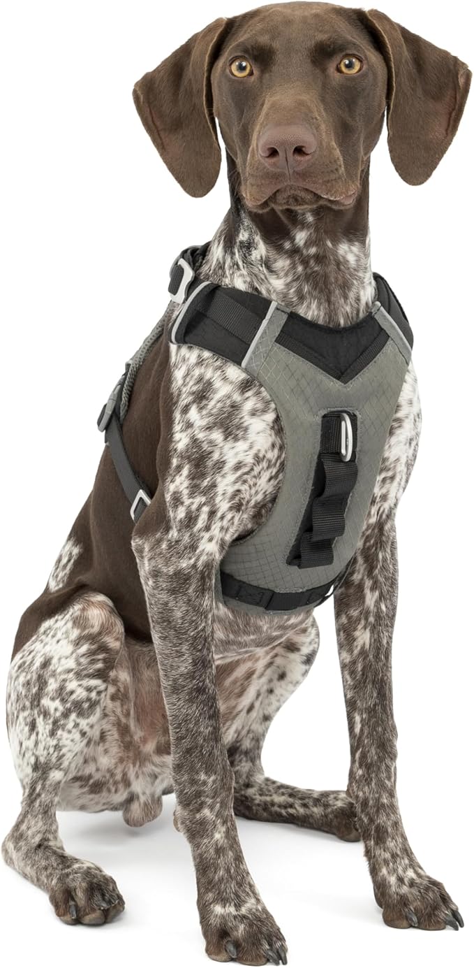 Kurgo Journey Air Dog Harness, Black, Medium | Padded Chest, Ripstop Outer & Breathable Mesh, Back Assist Handle, Rust-Free Aluminum Hardware, Reflective Trim