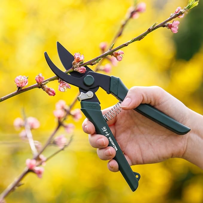 Wazakura Black Blade Pruning Shears - Carbon‑Reinforced Fluorine Coated, Ultra‑Sharp Clean Cuts for Flowers & Branches up to 1cm, Japanese Professional Garden Shears